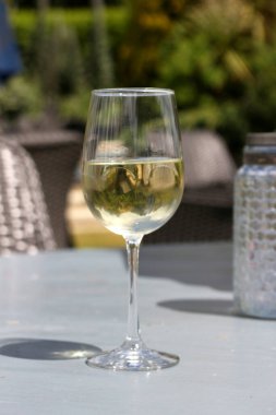 Dışarıdaki gün ışığında bir masanın üzerinde bir bardak beyaz şarap.