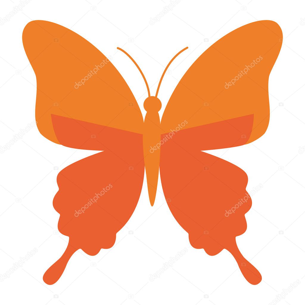 An orange silhouette of a butterfly with detailed wings, ideal for nature, beauty, or decorative design elements