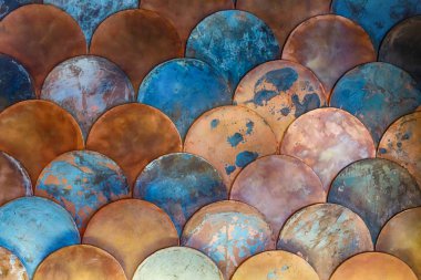 Balık Japon model ölçekler. Deniz tema arka plan