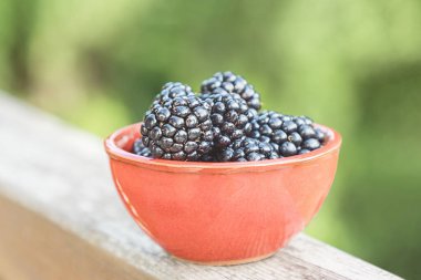 Yeşil Doğa arka plan üzerinde olgun böğürtlen ile seramik kase. Yumuşak odak. Pastel tonda