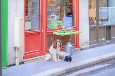 Paris, Fransa. 30 Mart, 2018. Onların sahip peynir pazarı önünde bekleyen iki köpek