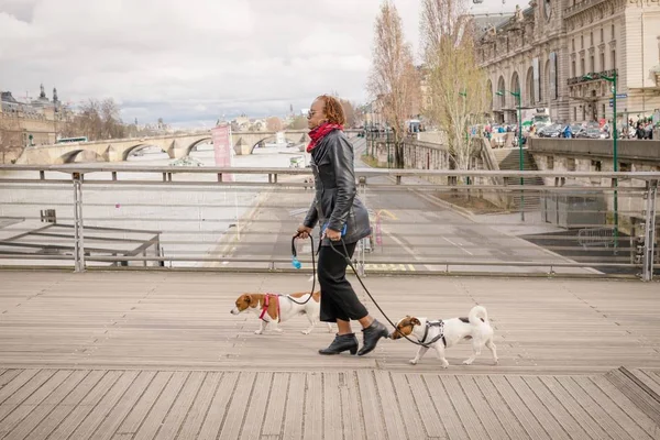 Paris França Março 2018 Mulher Negra Caminha Dois Cães — Fotografia de Stock