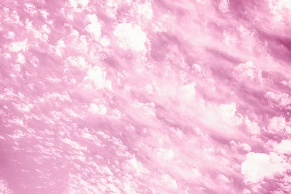 Pink sky background with fluffy white clouds. Fantasy sky background