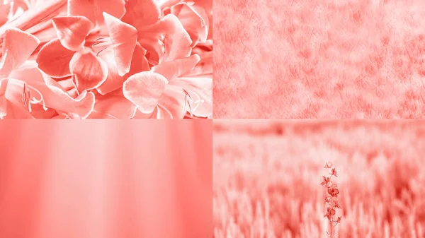 Trendy koraal kleur. Creatieve collage, bloemen en texturen. 16:9 — Stockfoto