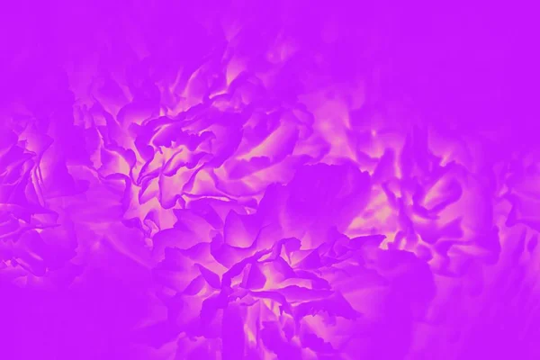Яскраво-фіолетовий колір фуксії з квітковим візерунком. Абстрактний фон — стокове фото