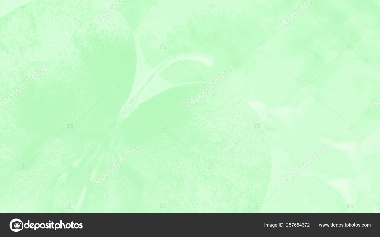 Apple Green Color Background