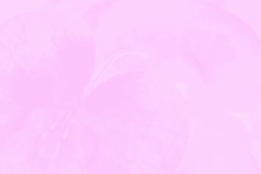 Narin elma deseni ile açık pembe renk arka plan
