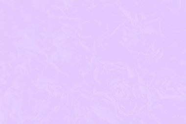 Narin bir gül çiçek desenli açık mor renk arka plan. Absract arka plan