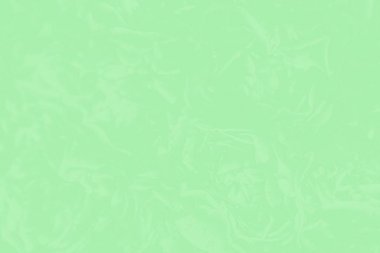 Narin bir çiçek deseni ile yeşil nane rengi arka plan. Absract arka plan