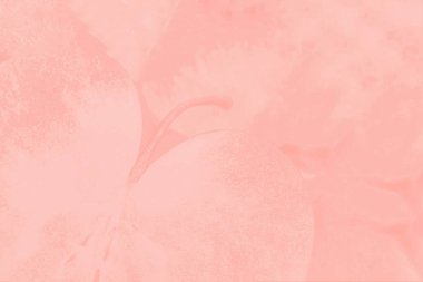 Hassas elma deseni ile açık pembe mercan renk arka plan