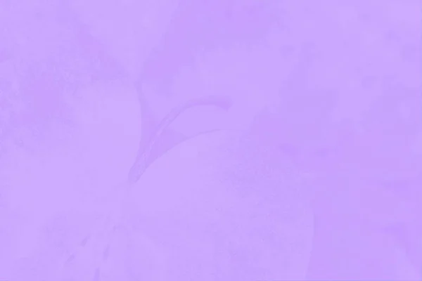 Hellviolette Farbe Hintergrund mit zartem Apfelmuster — Stockfoto