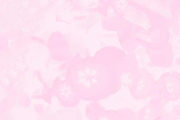 Light pink gradient color background with delicate floral pattern. Tulips background