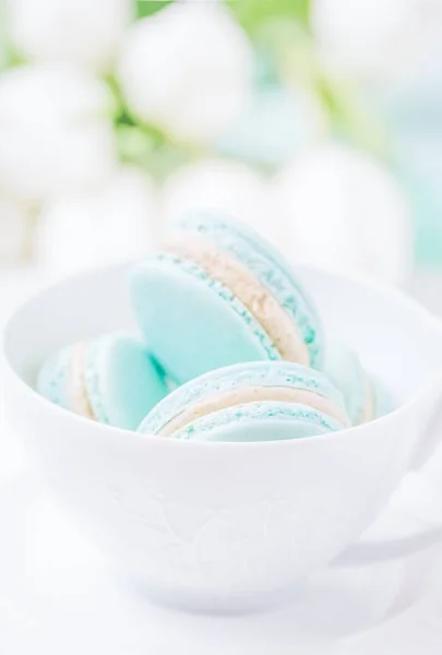 Mint ou tiffany couleur macaron ou macaron dessert à la crème vanille dans une tasse blanche. Espace de copie — Photo