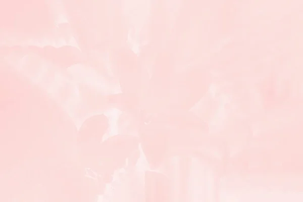Пастельний рожевий фон з ніжним квітковим візерунком — стокове фото