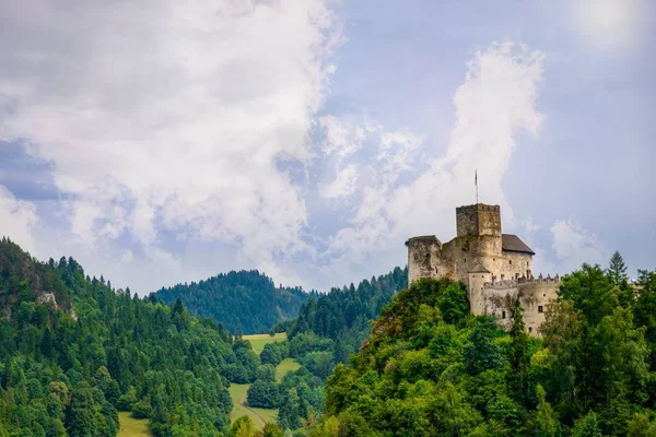 Средневековый замок на зеленом холме. Прекрасная природа. Федзица, Польша — стоковое фото