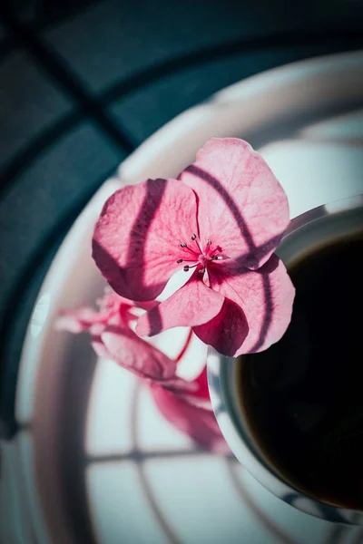 Beautiful pink hydrangea flowers and black coffee. Shadow pattern