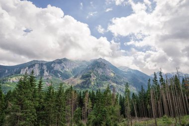Manzara. Tatra dağları ve beyaz bulutlar. Milli park. Polonya