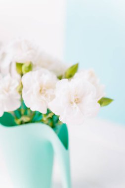 Beyaz ve açık renkli arkaplanda beyaz karanfil çiçekleri, boşluğu kopyala