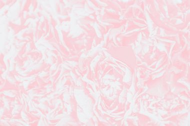 Gül desenli yumuşak pembe arka plan, açık renk çiçek arkaplan