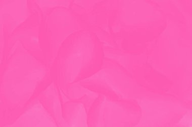 Ortanca ya da hortensiya çiçek desenli pembe soyut arkaplan