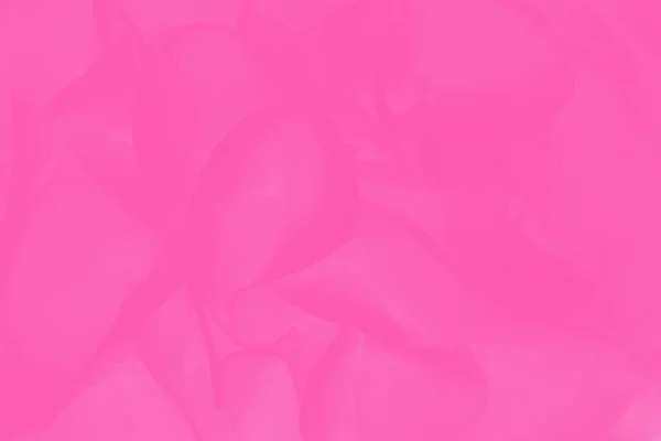 水仙花或黄花花型粉红抽象背景 — 图库照片