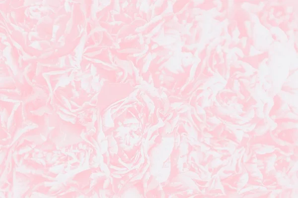 Акварельний Рожевий Трояндовий Фон Квіткові Шпалери — стокове фото
