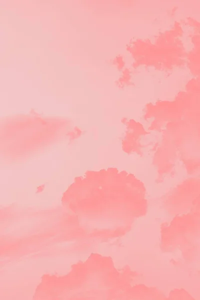 Розовые Коралловые Облака Светло Розовом Небе Вертикальное — стоковое фото