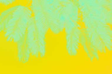 Açık yeşil palmiye yaprakları parlak sarı arkaplanda