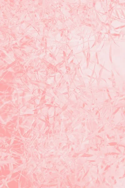 Pink Coral Blurred Abstract Background Leaves Pattern — Stock Photo, Image