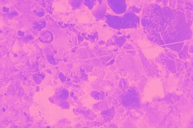 Mineral taşının makro çekimi, yamalı arka plan, pembe fuşya tonu