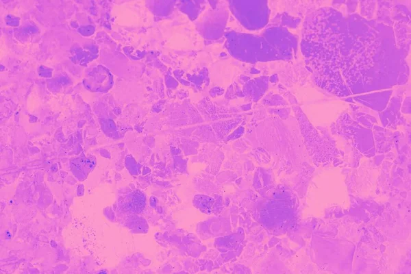 Makroaufnahme Von Mineralstein Fleckiger Hintergrund Rosafarbener Fuchsia Ton — Stockfoto