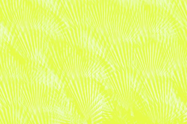 Жовтий Абстрактний Фон Візерунком Листя Долоні — стокове фото
