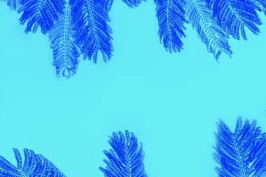 Açık akuamarin arkaplanda koyu mavi palmiye yaprakları, boşluğu kopyala
