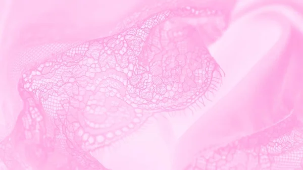 Lingerie Aus Rosa Seidenspitze Pastellrosa Auf Panoramischem Hintergrund — Stockfoto