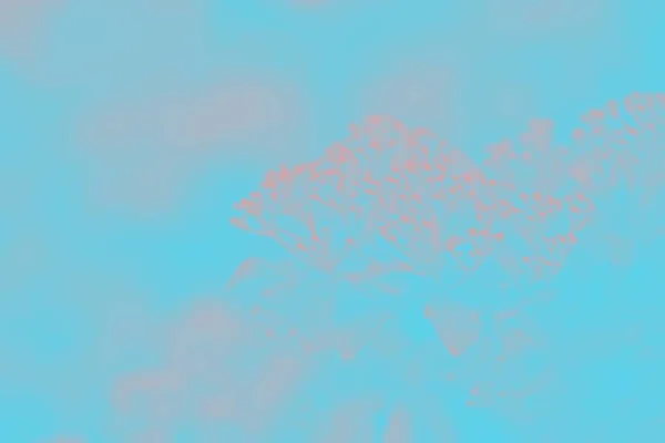Koraal Kleur Turkoois Wazig Achtergrond Bloemmotief — Stockfoto