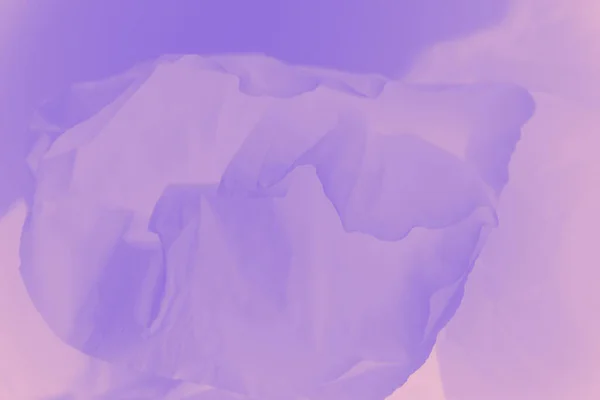 Бледный Нежный Мягкий Фиолетовый Фон — стоковое фото