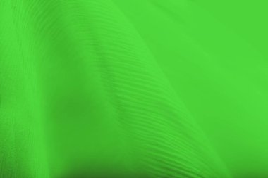 Oluklu yeşil ipek, canlı yeşil arkaplan