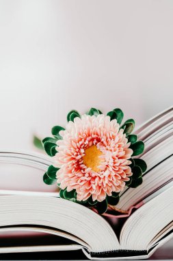 Açık kitaplarda pembe sonbahar paskalya çiçeği. Pastel, boşluğu kopyala