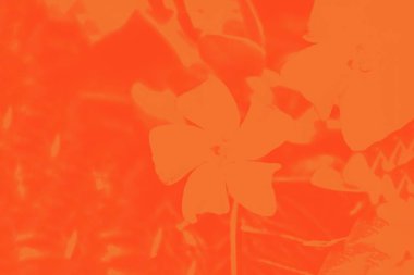 Parlak turuncu eğimli, menekşe çiçeği desenli bulanık arkaplan