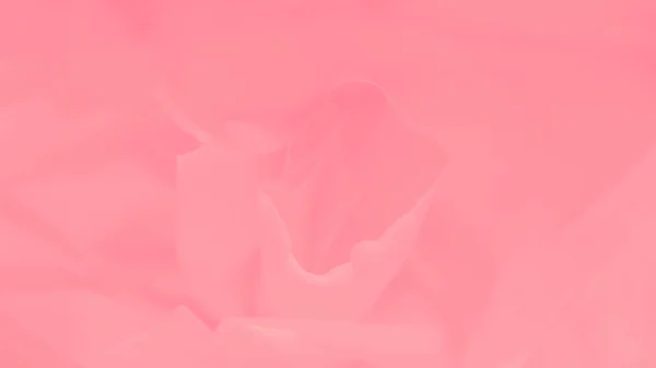 Світло Рожевий Абстрактний Панорамний Фон Розмитими Лініями — стокове фото