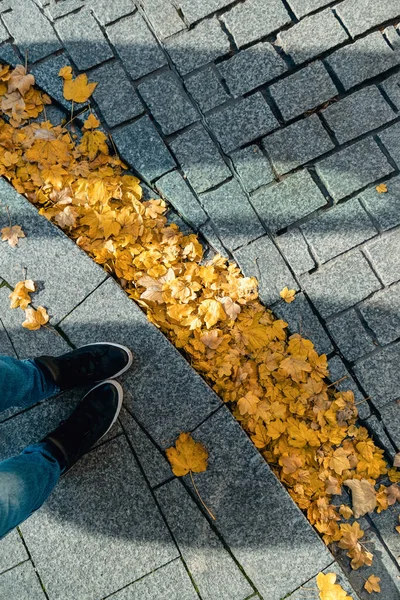 Feet selfie with line of yellow autumn leaves. Copy space, vertical