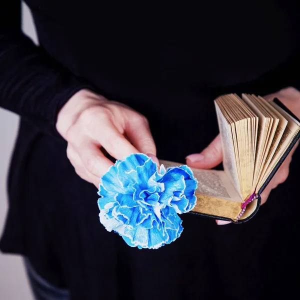 Mains féminines tenant un vieux livre et une fleur d'oeillet bleue sur un fond noir. Espace de copie — Photo