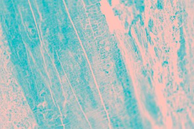 Turkuaz ve soluk pembe benekli arka plan, ahşap doku