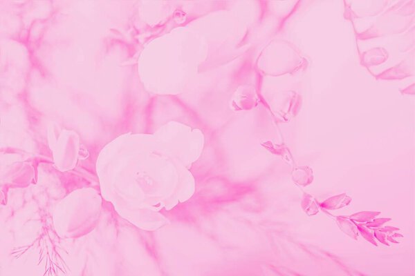 Pink abstract background, freesia flower pattern