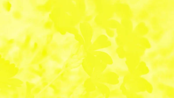 Жовтий Фон Квітковим Візерунком Панорамний Фон — стокове фото