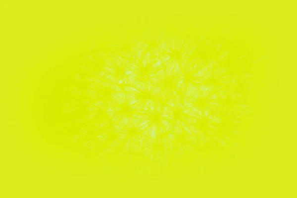 Amarelo Vivo Desfocado Fundo Abstrato Com Padrão Dente Leão — Fotografia de Stock