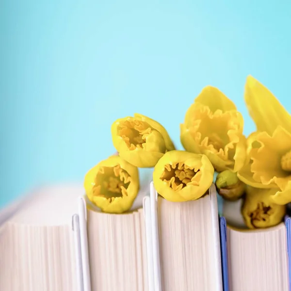 A stack of books with spring yellow daffodils flowers on pale aqua color background, copy space