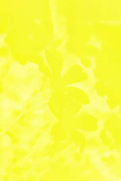 Fundo Amarelo Com Padrão Flores — Fotografia de Stock