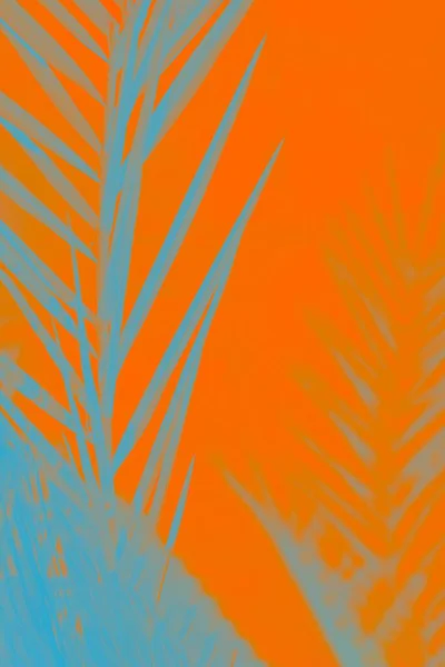 Blue gray date palm leaves on vivid orange lush lava background