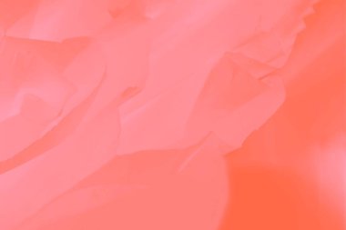 Yumuşak açık pembe mercan rengi akan kumaş, eğimli mercan arkaplan